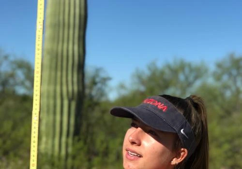 Saguaro National Park